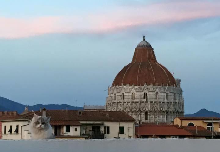Alla Torre Con Vista Pisa Quarto foto